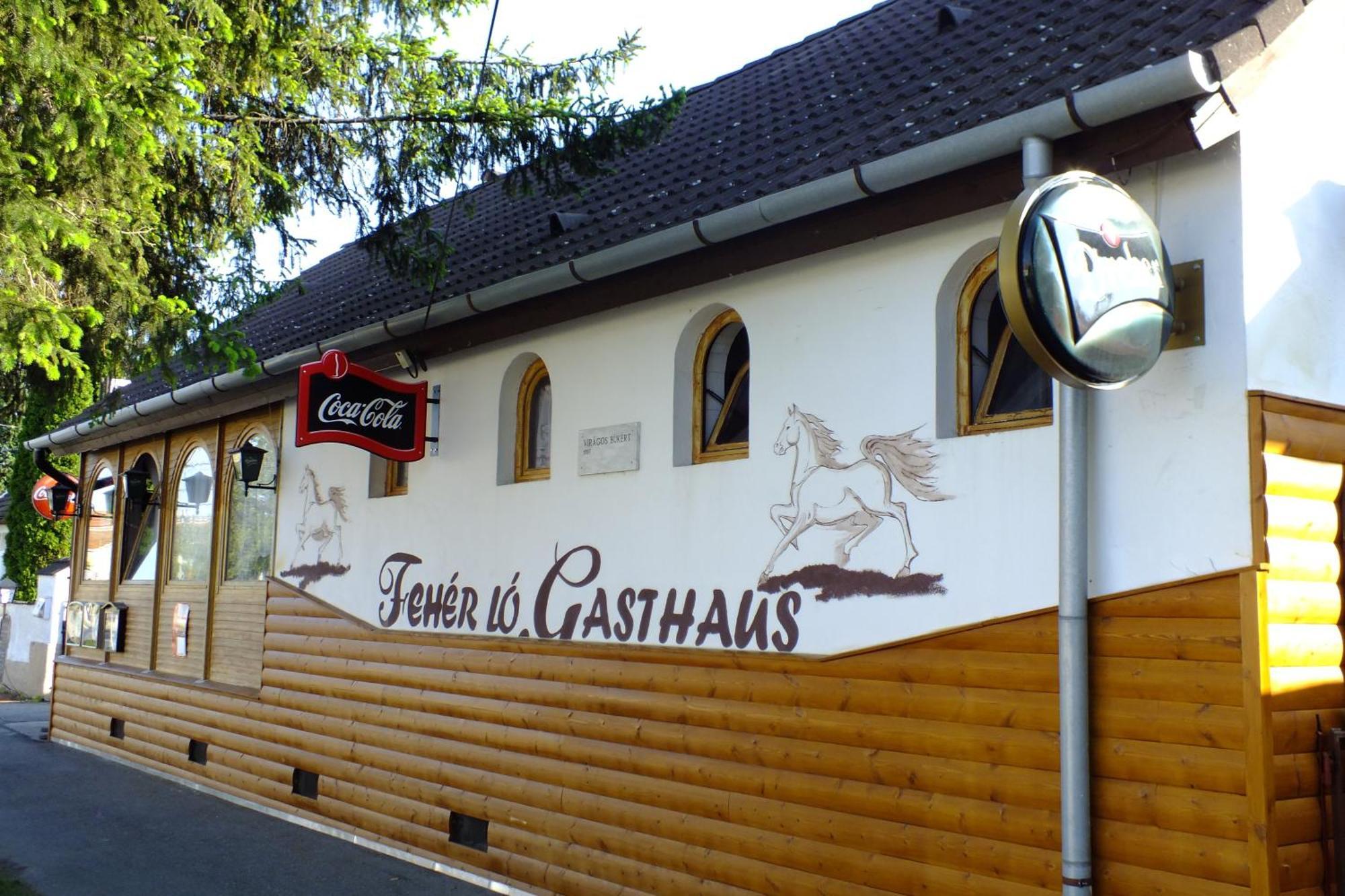 Feherlo Vendeghaz & Restaurant Bük Dış mekan fotoğraf